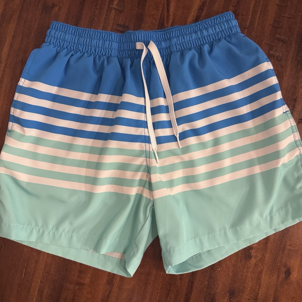Chubbies Men's "On The Horizons Swim Trunks" Blue And White Stripes Size Small